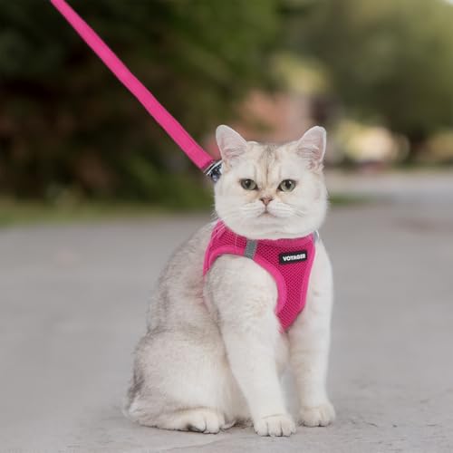 Voyager Step-in Pet Harness - All Weather Mesh, Adjustable Step in Harness for Cats and Dogs by Best Pet Supplies - 307S F...