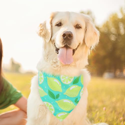 EXPAWLORER Dog Cooling Bandana - 3 Pack Summer Cool Down Hawaii Triangle Pet Scarf Ice Vest Neck Wrap Cooler in Cute Fruit...
