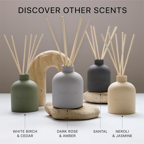 Craft & Kin Reed Diffuser for Home & Bathroom – White Birch & Cedar Holiday Reed Diffuser Set with Fragrance Sticks, Long-...