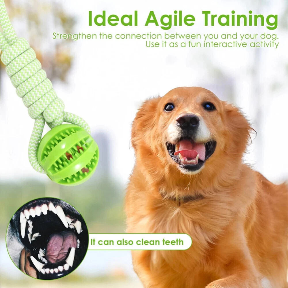 Dog Rope Toys Interactive Dog Bungee Toy With 2Pcs Chewing Rope For Most Dogs AU Green