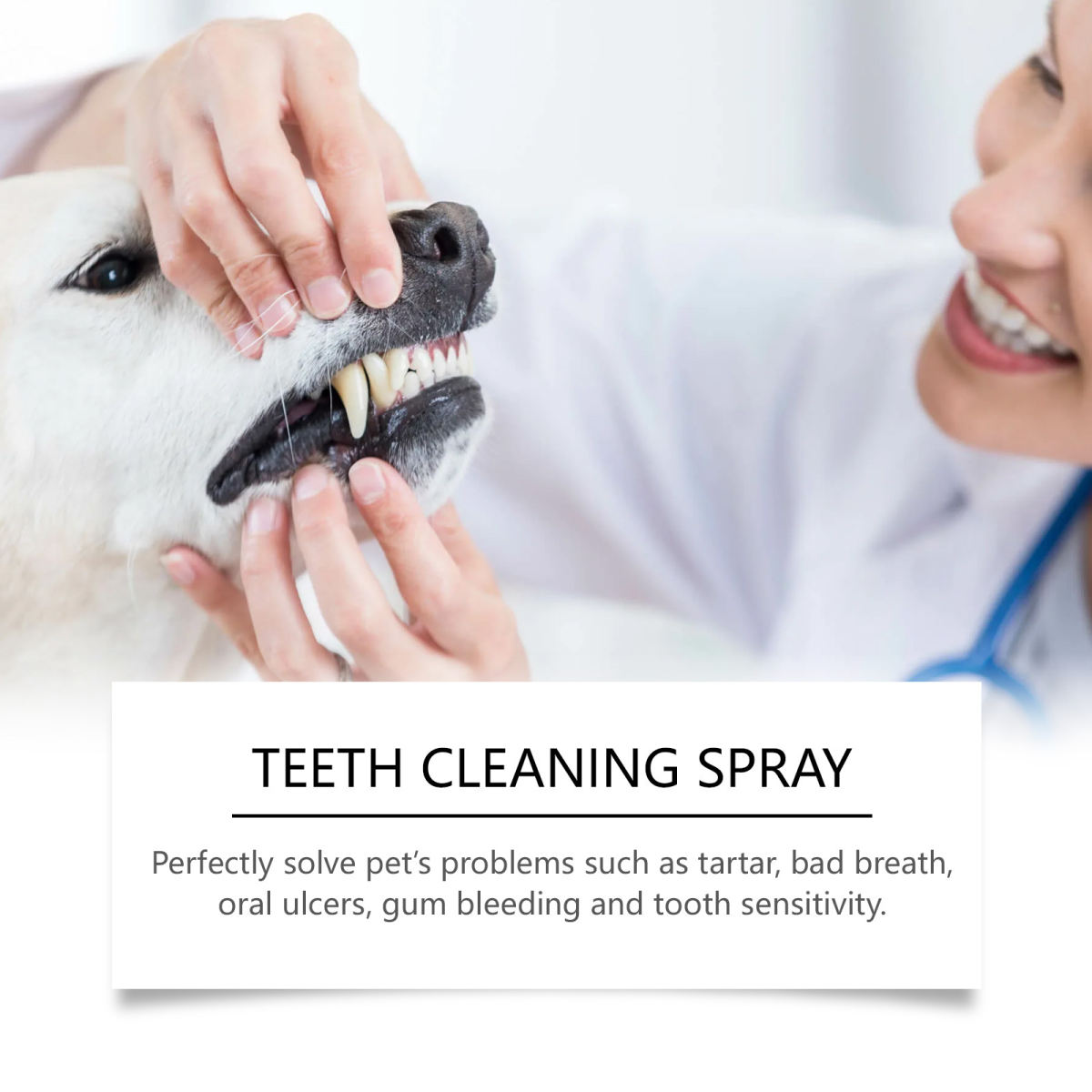 Tooth Tartar Odor Care Lasting Care