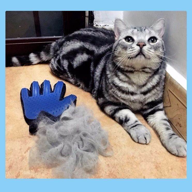 Pet Cat Grooming, Cleaning & Massage Silicone Deshedding Cat-Stroke Glove