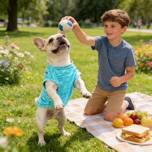 PETCARE Dog Shirt Clothes for Small Medium Dogs Cats Reflective Soft Stretchy Sun Protection Dog T-Shirts Cooling Vest Pup...