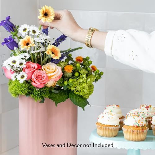 Floral Compass by Nature’s Flowers - Celebration Flower Bouquet - Prime Eligible, 30+ Fresh Cut Flowers for Delivery, No Vase