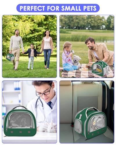 Bissap Bearded Dragon Travel Carrier, Portable Guinea Pig Carrier Bag Tortoise Carrier Pouch for Bunny Hamster Chinchilla ...