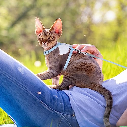 TIESOME Cat Harness and Leash Set, Adjustable Gradient Kitten Harness Escape Proof Harness with Leash for Kitty Outdoor Wa...