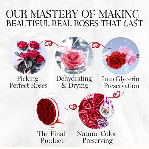 GLAMOUR BOUTIQUE Flowers Forever Gift Box, 12 Real Preserved Roses in Velvet Box, Floral Gift for Her, Mom or Wife for Bir...