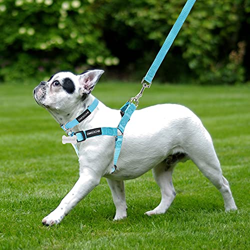 No Pull Dog Harness - Adjustable Step-in Harness & Leash Set for Small, Medium, Large Dogs - Escape Proof Soft Pet Harness...
