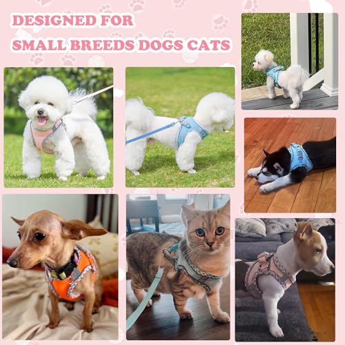 Dog Harness and Leash Set, No Pull Adjustable Reflective Pet Harness for Small Medium Dogs, Step in Vest Harness Easy Walk...