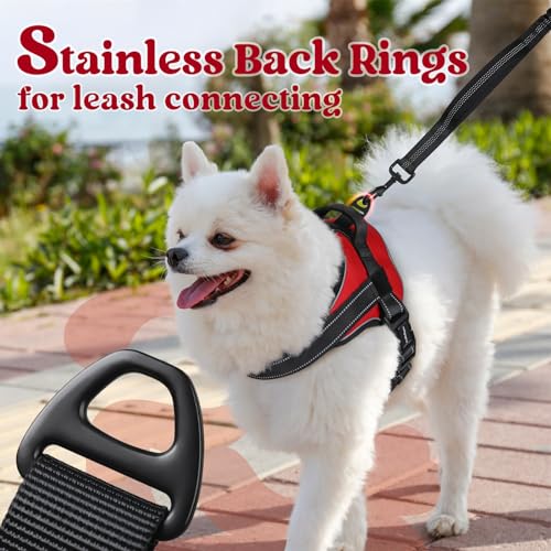 rabbitgoo Dog Harness Medium Sized Dog, Easy Wearing with One Buckle, No Choke No Pull Harness Buddy, Adjustable Reflectiv...