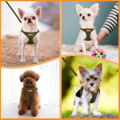 Lukovee No Pull Small Dog Harness with Leash - Lightweight Soft Puppy Vest Harnesses, Adjustable Pet Harnesses for Puppy S...