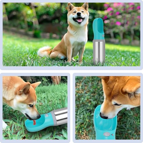 Portable Dog Water Bottle, 14 OZ, Stainless Steel Leak Proof Puppy Water Dispenser with Drinking Feeder for Pets Travel, W...