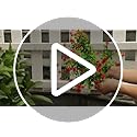 DRT DERUITAI Artificial Flowers Outdoor,UV Resistant Fake Flowers 20 Bundles Faux Outdoor Plants Plastic Flowers Greenery ...