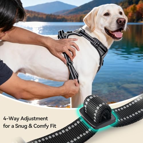 PHOEPET No Pull Dog Harness Medium Reflective Front Clip Vest with Handle, Adjustable 2 Metal Rings 2 Buckles(M, Grey)