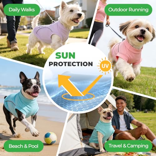 ABRRLO 3-Pack Reflective Dog Shirts for Small Medium Dogs Sun Protection Lightweight Puppy Cat T-Shirt with D-Ring,Soft St...