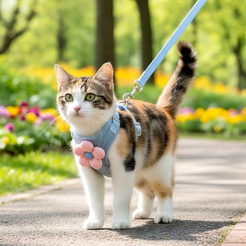 Hadnves Cat Harness and Leash Set, Escape Proof Safe Kitten Vest Harnesses Adjustable Comfy Breathable Soft Mesh Step-in J...