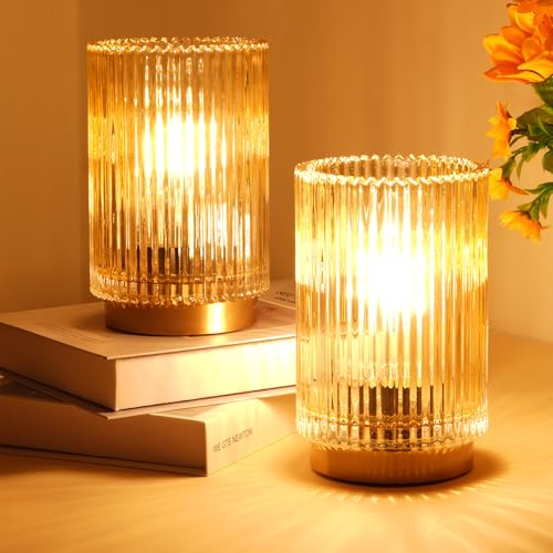 Mirasium Battery Operated Lamp, Cordless Table Lamp with Timer, Desk Bedside Lamps with LED Warm Light, Glass Small Table ...