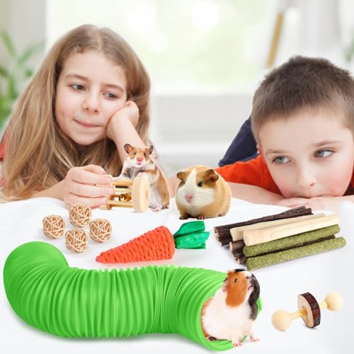 Kyouki Hamster Toys Guinea Pig Toys Set with Tunnel, Chewable Apple Wood & Natural Timothy Hay - Enrichment Chew Toys for ...