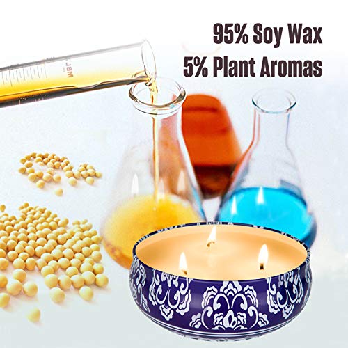 Citronella Candles Outdoor and Indoor 3 x 13.5 Oz,3 Wick Scented Candles Gift Set,Aromatherapy Candles Natural Soy Wax Can...