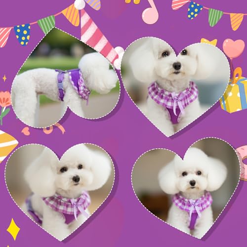 EXPAWLORER Cute Dog Harness Collar Leash Set - Purple Girl Dog Harness Checkered Step-in Design, Detachable Bow Pet Colla...