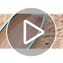 Novabright Coastal Decor Display Box Wooden Surfboard Holder with Clear Window Shell Box Shark Teeth Collection for Seashe...