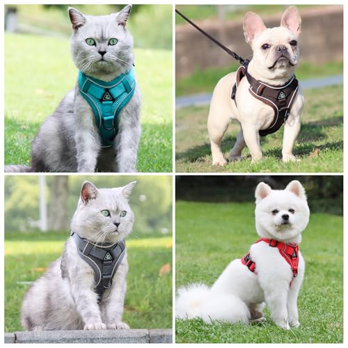 XL Cat Harness Escape Proof for Heavy Cats - Adjustable Vest Leash Set with 4 Buckles, Reflective Breathable Mesh for Extr...
