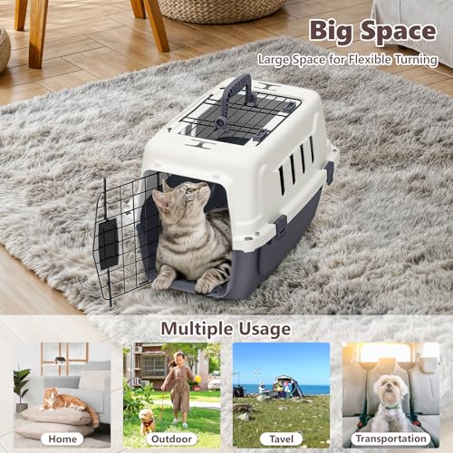 Athena Collection 18" Hard-Sided Travel Pet Carrier for Small Dogs and Cats, Plastic Dog Carriers with 2-Door Top & Front ...