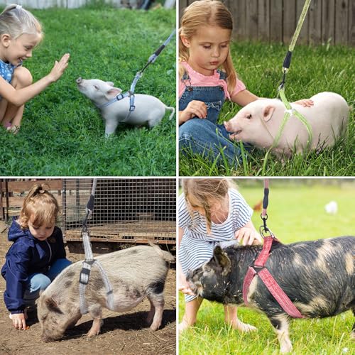 Mini Pig Harness, Adjustable Small Pig Harness with Leash Infinity Style Lead and Soft Foam Handle for Small to Medium Pet...