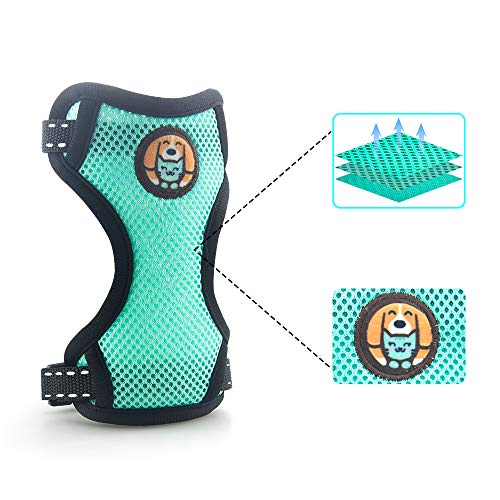 AWOOF Reflective Kitten Harness and Leash Escape Proof with Car Seat Belt, Adjustable Cat Puppy Walking Jacket with Metal ...