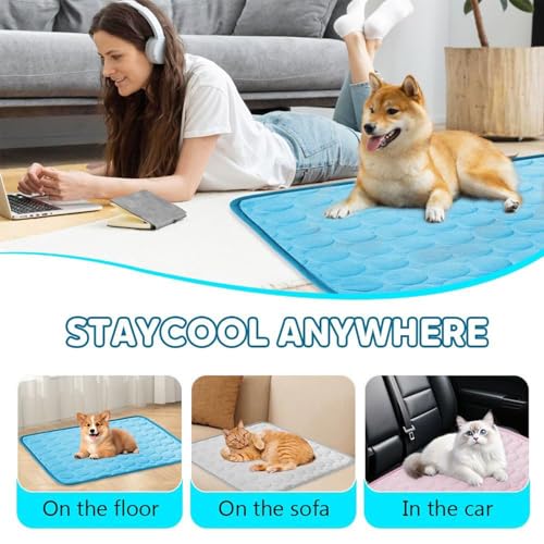 Dog Cooling Mat, Pet Cooling Mats, Summer Cool Pads Pet Mat Outdoor for Dogs & Cats, Machine Washable (Blue, L: 70×55 cm |...