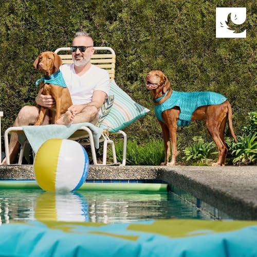 RC Pet Products Zephyr Cooling Vest, Extra Extra Small, Aqua (XX-Small, Aqua)