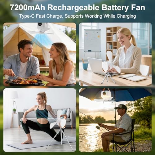 Liomus Portable Camping Fan with Lights,LED Hanging Ceiling Fan With Remote&Timer, 9.25" Wireless Rechargeable Tent Fan,4 ...