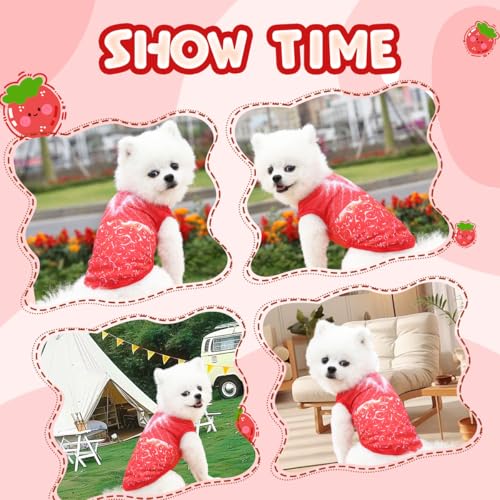 Vavious Dog Vest Cooling Shirts for Dogs Light Weight Mesh Cat Outfits 3D Strawberry Pattern Pet Tank Top Small Dogs Summe...