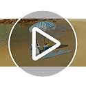 Old Bahama Bay Folding Beach Chair 2 Pack, Beach Chairs for Adults Low Beach Camping Chair with Cup Holder Mesh Back for O...