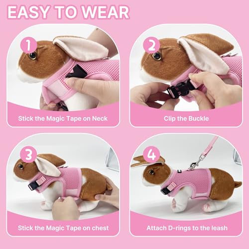 AIITLE Adjustable Rabbit and Leash Set - Lightweight & Portable, Padded Vest with Magic Tape Design, Indoor/Outdoor Use (T...
