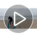 Purebox Beach Tent Shade Canopy - 8 * 8FT UPF50+ Beach Umbrella Sun Shelter 3Min Setup for 8 Person Cabana Tent with Sand ...