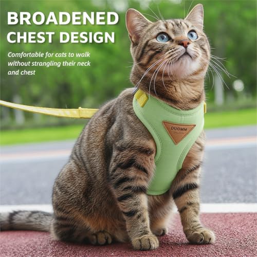Escape-Proof Cat Harness and Leash Set - Adjustable and Comfortable - Ideal for Walking Cat Outdoors - Fits Small Dogs, Ki...