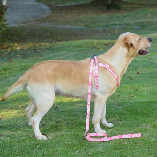 Olahibi Harness and Leash Set, Floral Pattern, 5ft Matching Leash, No Pull, Easy Wear for Medium Dogs.(M, Pink Daisy)