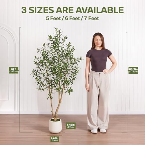 VeriNatural Artificial Olive Tree 6FT, Fake Plants Indoor - Potted Faux Olive Tree with Relistic Leaves and White Planter...