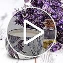 YINUO LIGHT Scented Candles Gifts Set for Women Aromatherapy Candles Stress Relief, Upgraded Large Tin of Soy Candle Scent...