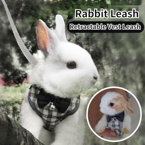 Pet Harness,Rabbit Harness and Leash Set, Cute Mesh Breathable Pet Vest Outdoor Camping Hiking Training, Bunny Jacket for ...