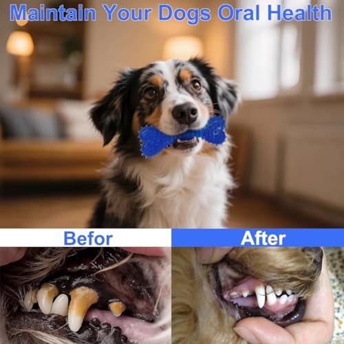 Mnubsrva Dog Toys 15 Pack for Teeth Cleaning and Fun, Puppy Teething Chew Toys Interactive Rope Squeaky Treat Balls & Rubb...