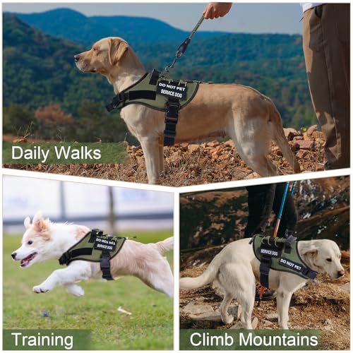 No Pull Dog Harness Small Medium Sized Dog, Service Dog Harness and Leash Set with 4 Patches, Adjustable Easy Walk Dogs Ha...