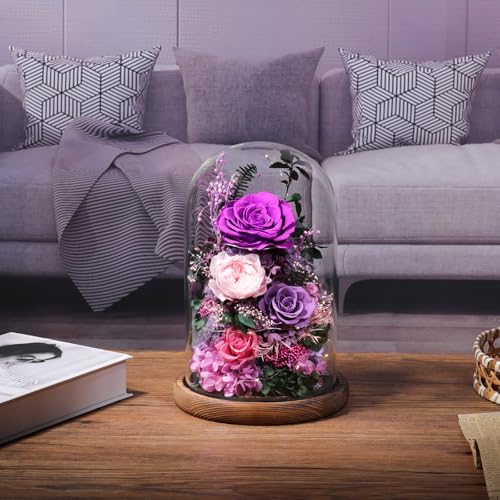 lovenfold Flowers for Delivery Preserved Flowers Rose in Glass Dome,Purple Rose Forever Flowers Birthday Gifts for Women M...