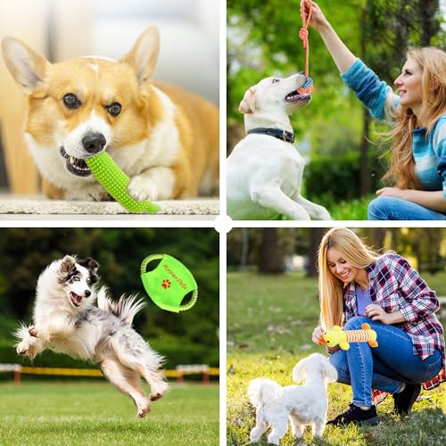 Aipper Dog Toys 25 Pack for Fun and Teeth Cleaning, Puppy Chew Toys Pack with Squeak Plush Toy,Squeaky Toy Balls,Tug of Wa...
