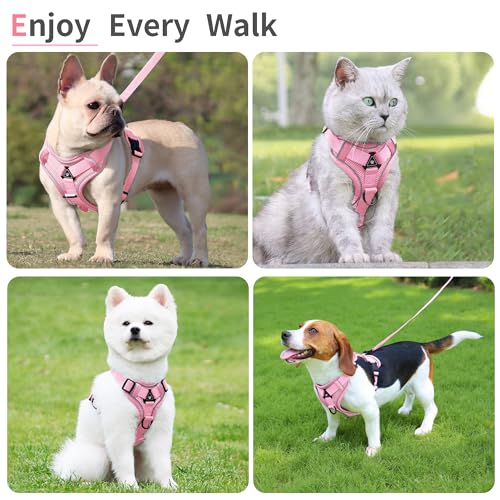 Jolifield No Pull Dog Harness with Leash Set for Small Sized Dog, Reflective Adjustable No Choke Front Clip Cat Vest Harne...