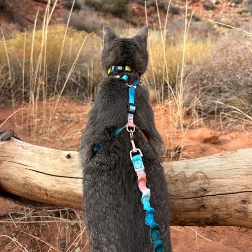 Travel Cat Harness and Bungee Leash Set - 2 in 1 Adjustable Escape Proof Cat Harness & Leash for Small, Medium, Large Cat...