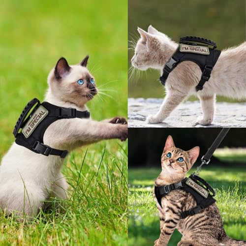 Tactical Cat Harness and Leash Set Soft Mesh Adjustable Large Cat Vest with Rubber Handle Easy to Control for Large Cat Sm...