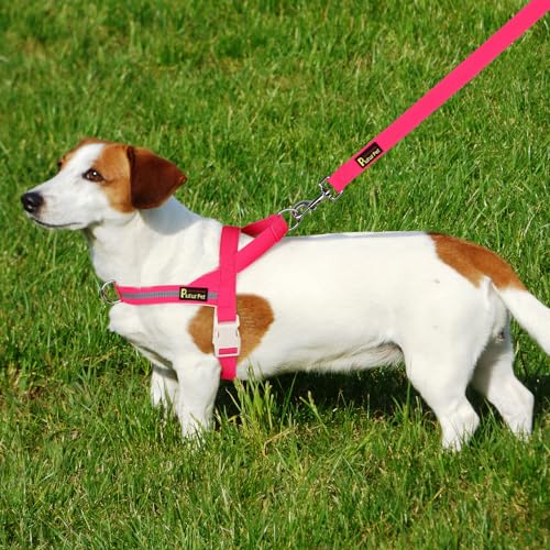 Plutus Pet Cotton Dog Harness and Leash Set, Reflective and Soft Padded, Quick Fit Vest Harness, for Small, Medium and Lar...