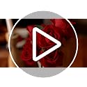 Hananona Artificial Roses in Bulk, Fake Velvet Silk Roses Realistic Rose for Wedding Centerpieces Flower Arrangement Home ...